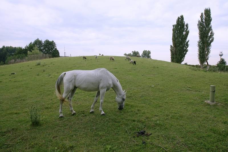 Zoopark ve Velkém Oseku