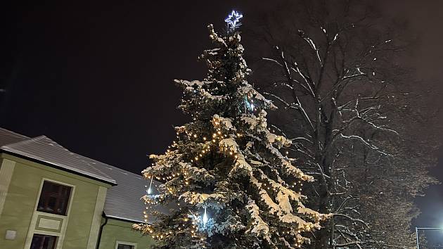 Vánoční strom v Polepech.