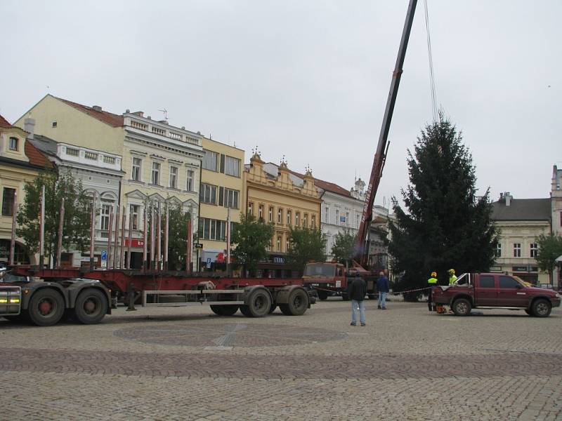 Usazování vánočního stromu na Karlově náměstí v Kolíně