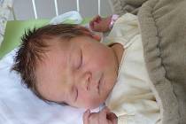 Elena Holubová se narodila 27. srpna 2021 v kolínské porodnici,  vážila 4120 g a měřila 51 cm. V Kolíně se z ní těší maminka Petra a tatínek Ondřej.
