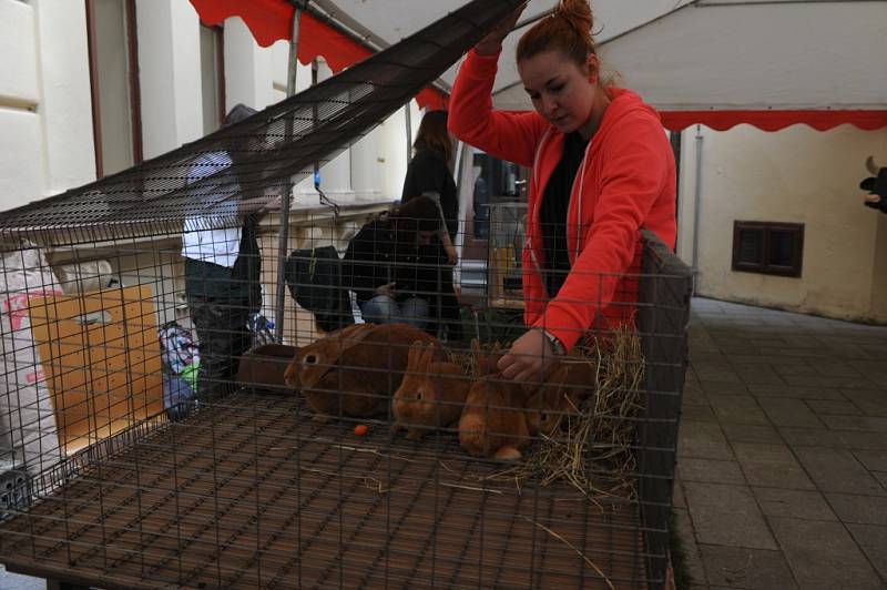 Výstava o životním prostředí odstartovala, láká děti i dospělé