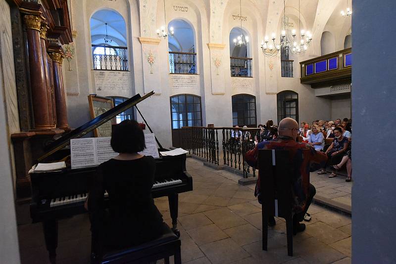 Koncert dvou členů Smetanova tria.