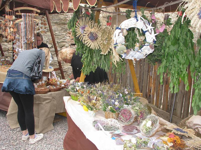 Středověk na tvrzi, Nebovidy 21. června 2014