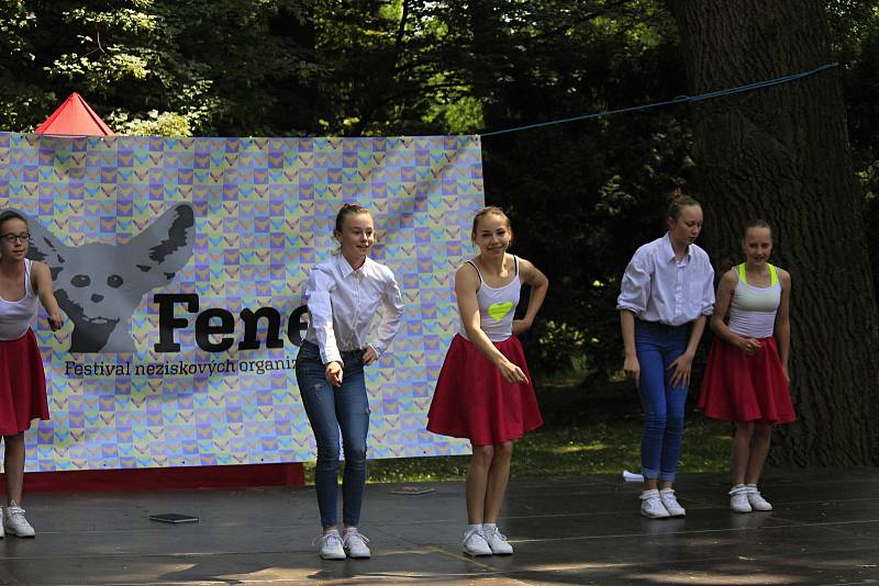 V sobotu se u pivovarského rybníka v Českém Brodě konal festival neziskových organizací.