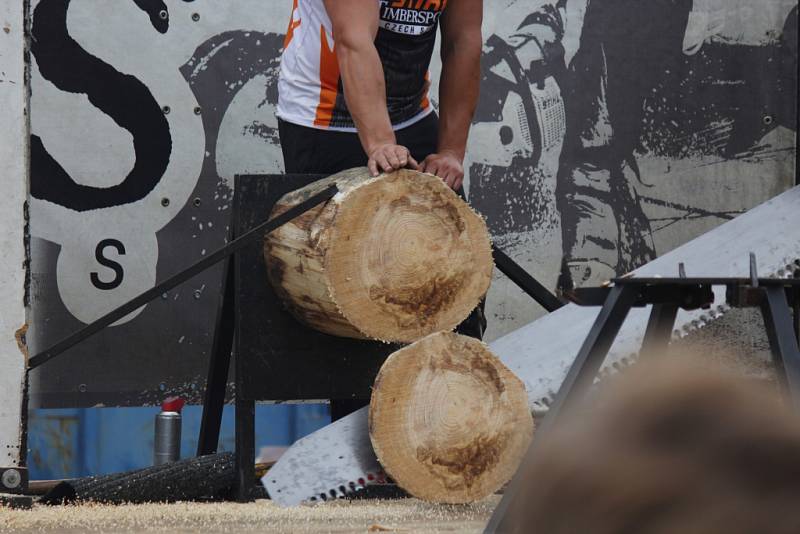 Nedělní odpoledne ve Viticích zpestřil Timbersports.