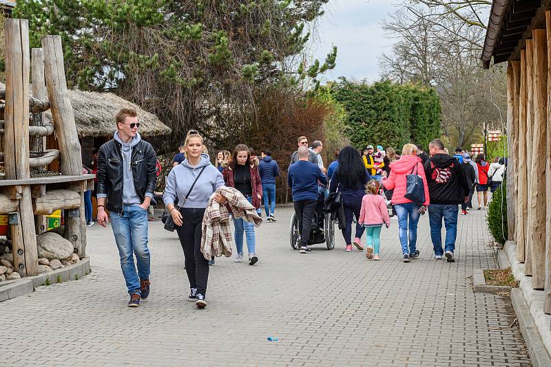 V sobotu dorazilo do Safari Parku Dvůr Králové 3374 lidí.