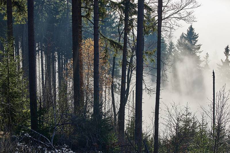 Krásy Krkonoš v listopadu 2020 pohledem trutnovského fotografa Miloše Šálka.