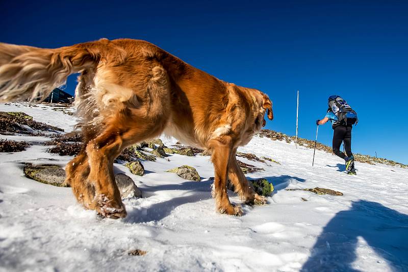 Horští nosiči při zimní verzi závodu Sněžka Sherpa Cup vynesli zásoby vod a kofol od lanovky z Pece na Sněžku na Českou Poštovnu.