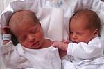 RADEK A MAREK DEJLOVI se narodili 28. ledna v 10.12 hodin rodičům Evě a Dušanovi. Vážili 2,88/2,31 kg a měřili 49/47 cm. Spolu se sourozenci Petrem, Andreou a Karolínou jsou ze Žacléře.