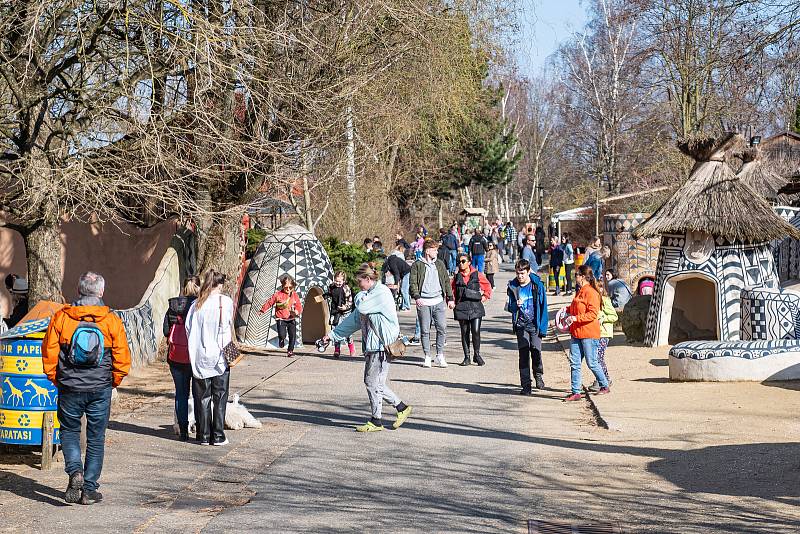V sobotu 26. března navštívilo Safari Park Dvůr Králové 3814 lidí.