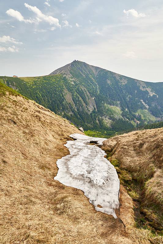 Krkonošská příroda, nafocená 1. července 2019.