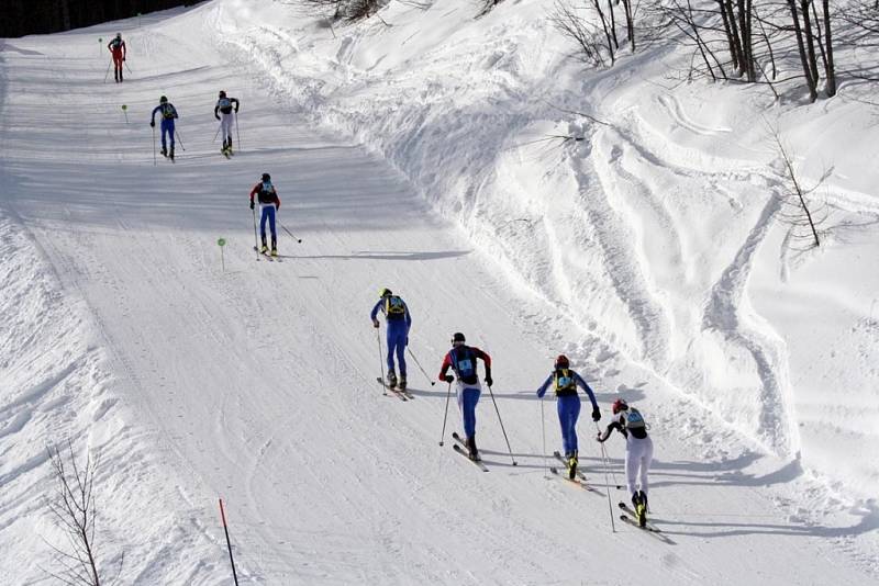 Světový šampionát ve skialpinismu hostilo i letos francouzské údolí Pelvoux Vallouise. Mezi desítkami sportovců byli také čtyři čeští reprezentanti