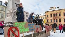 Demonstrace odpůrců protipandemických opatření v Trutnově na Krakonošově náměstí..