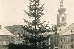 Vánoční strom na trutnovském náměstí kolem roku 1940.