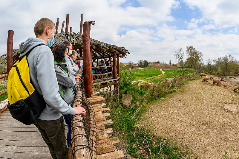 V sobotu dorazilo do Safari Parku Dvůr Králové 3374 lidí.