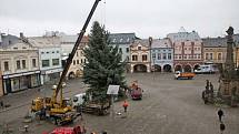 Náměstí T. G. Masaryka ve Dvoře Králové nad Labem zdobí od pátku vánoční smrk.