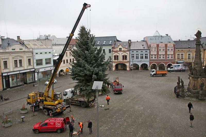 Náměstí T. G. Masaryka ve Dvoře Králové nad Labem zdobí od pátku vánoční smrk.