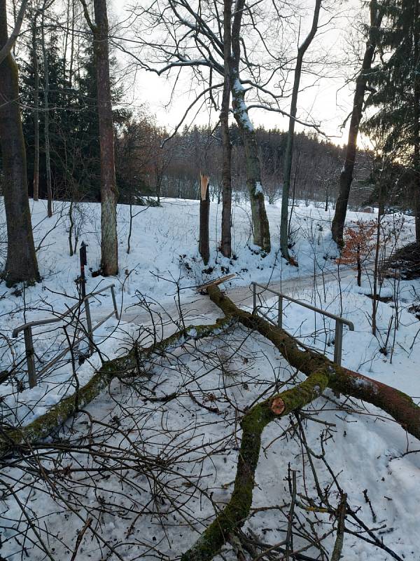 Odpoledne 3. února vyjeli hasiči k odstranění spadlého stromu na účelovou komunikaci do Mladých Buků Hertvíkovic.