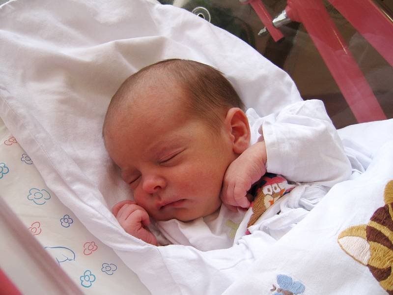 ELLEN HONZEROVÁ se narodila 31. ledna ve 12.22 hodin rodičům Květě a Josefovi. Vážila 2,76 kg a měřila 47 cm. Rodina je z Malých Svatoňovic.
