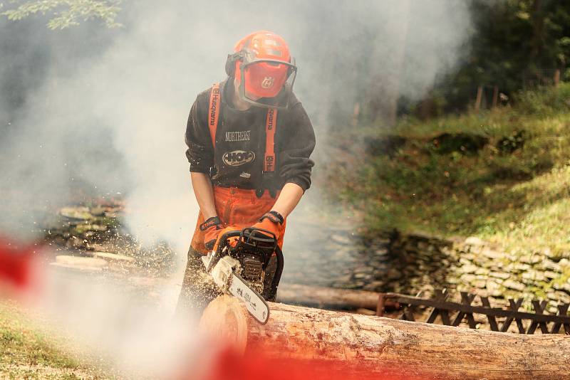 Oslava 60. výročí lesnického školství ve Svobodě nad Úpou.