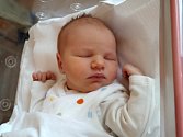 ELIŠKA VAŇKOVÁ se narodila 26. listopadu v 10.31 hodin rodičům Petře a Michalovi. Vážila 3,41 kg a měřila 52 cm. Spolu se sestřičkami Barborou a Laurou bydlí v Trutnově.
