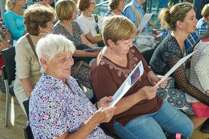 V Galerii Uffo představuje Miloš Šejn projekt Opera Corcontica