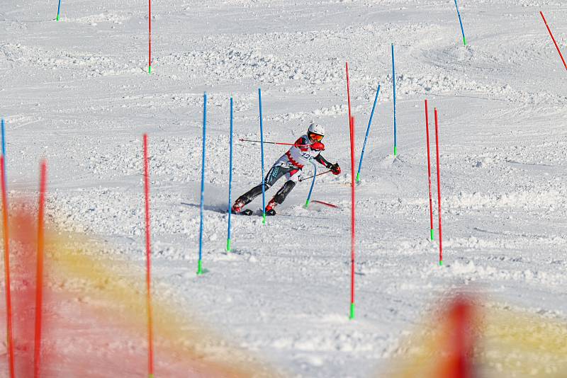 Olympiáda dětí a mládeže pokračovala v úterý v Krkonoších soutěžemi druhého dne.