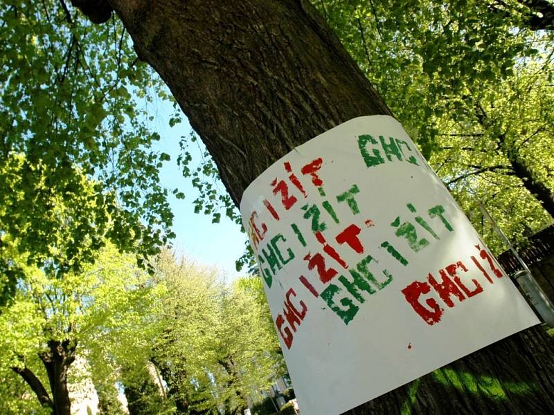 Desítky studentů Střední uměleckoprůmyslové školy Turnov protestují proti záměru turnovské radnice pokácet stromy ve Skálově ulici.