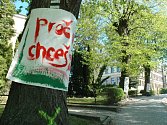Desítky studentů Střední uměleckoprůmyslové školy Turnov protestují proti záměru turnovské radnice pokácet stromy ve Skálově ulici.