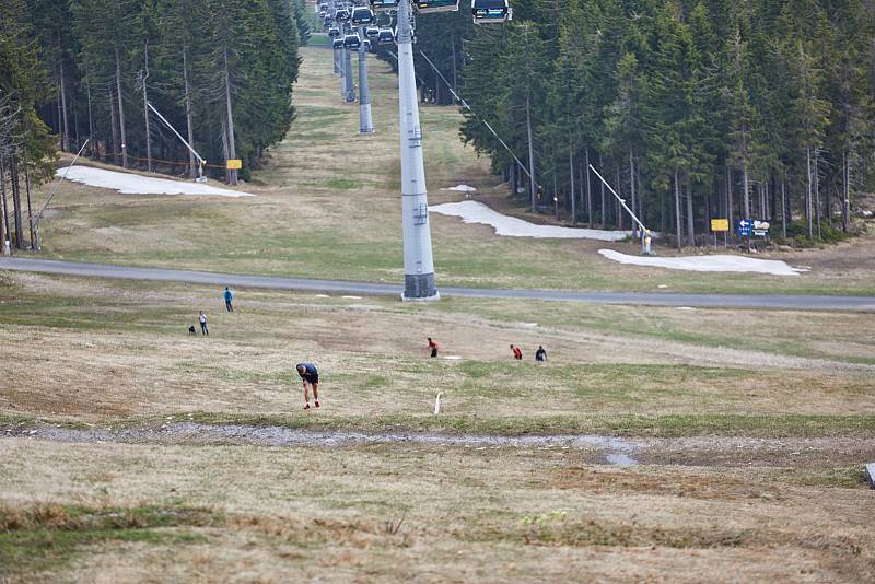 Běžecký maraton NaHoruRun vedl z Trutnova až na Černou horu a dolů do Janských Lázní.