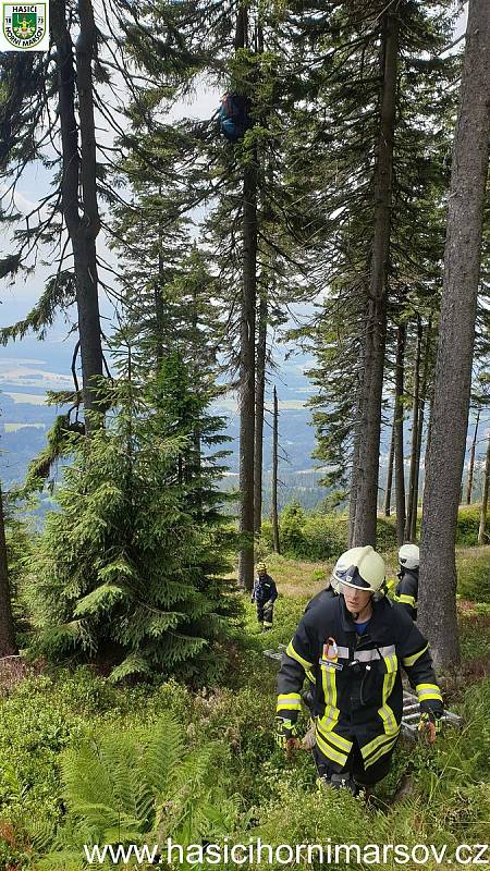 Paraglidista zůstal viset po startu na stromě na Černé hoře, dolů mu pomohli hasiči.