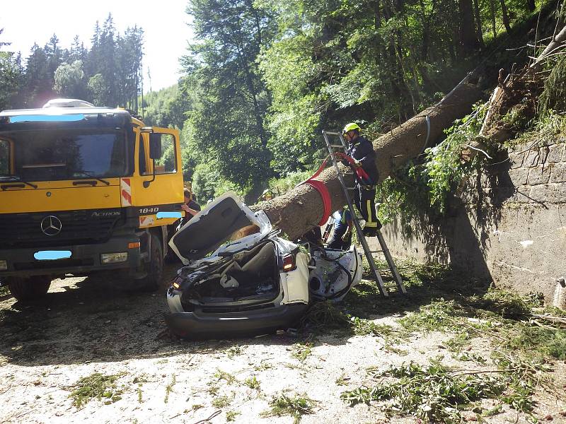 Na silnici mezi Temným Dolem a Malou Úpou spadl strom na projíždějící auto, zabil dvě ženy a jednoho chlapce.