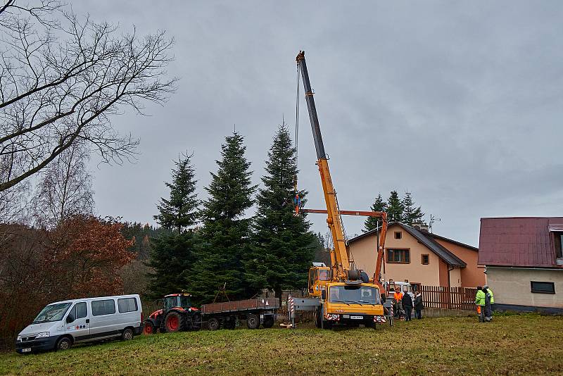 V Trutnově stojí od pondělí na Krakonošově náměstí vánoční strom.