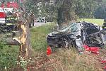 Při tragické dopravní nehodě na silnici vedoucí do Vítězné - Komárova od Kocbeří zemřela v pondělí osmnáctiletá řidička.