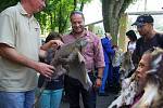 Zoologickou zahradu ve Dvoře Králové navštívil Klub vozíčkářů Trutnov už potřetí. 