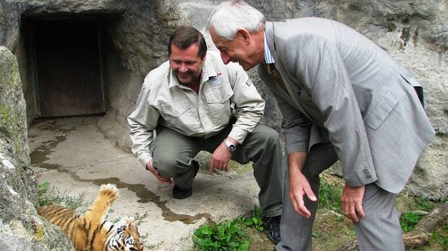 Malé tygry ministr Heger nejprve pokřtil a pak za nimi šel do výběhu