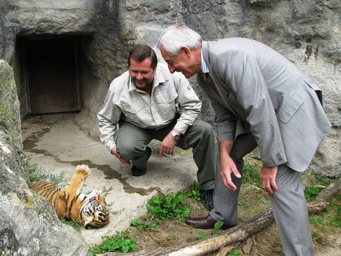 Malé tygry ministr Heger nejprve pokřtil a pak za nimi šel do výběhu