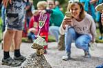 Pokřtěno! První hřiště na světě pro stone balancing nebo-li vyvažování kamenů bylo v sobotu otevřeno u lesní plovárny Retropark Sejfy v Mladých Bukách.