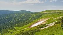 Krkonošská příroda, nafocená 1. července 2019.