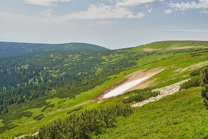 Krkonošská příroda, nafocená 1. července 2019.