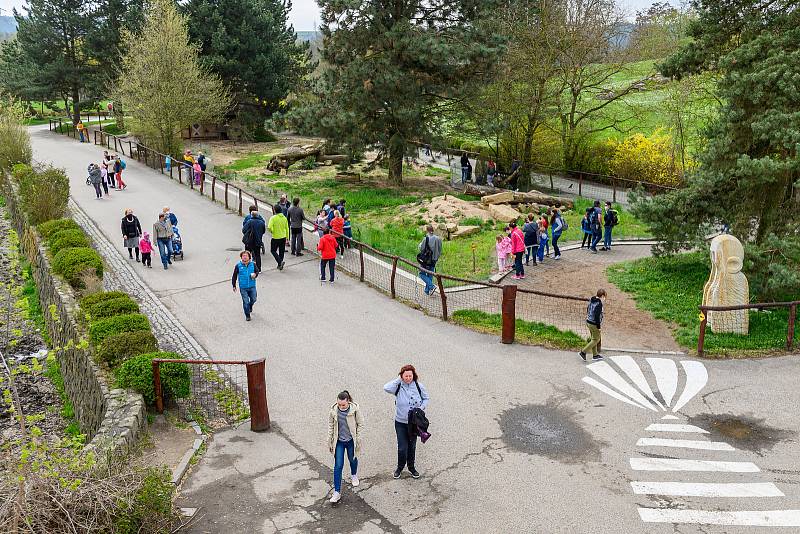 V sobotu dorazilo do Safari Parku Dvůr Králové 3374 lidí.