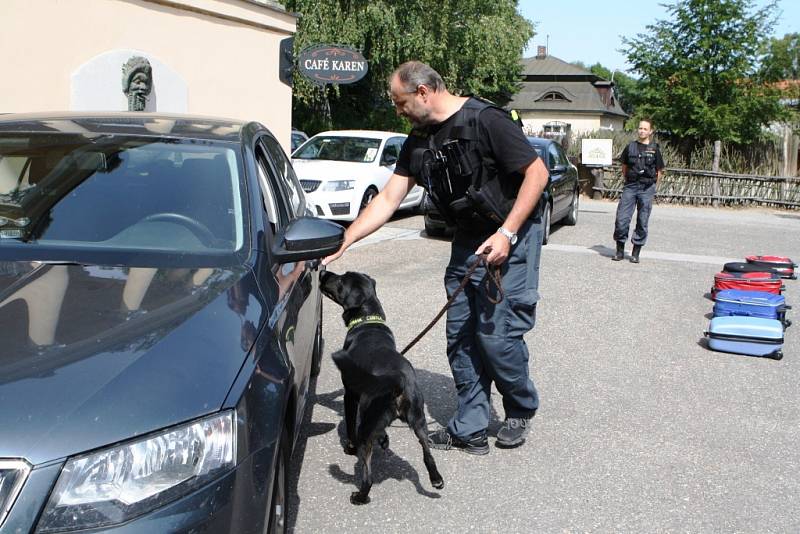 Celníci a inspekce životního prostředí dostali v zoo vzorky rohoviny