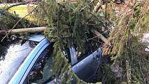 V Trutnově Poříčí spadly stromy na tři auta.