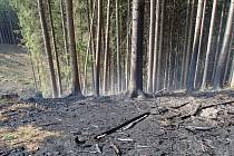 Požár lesa ve Ždírnici