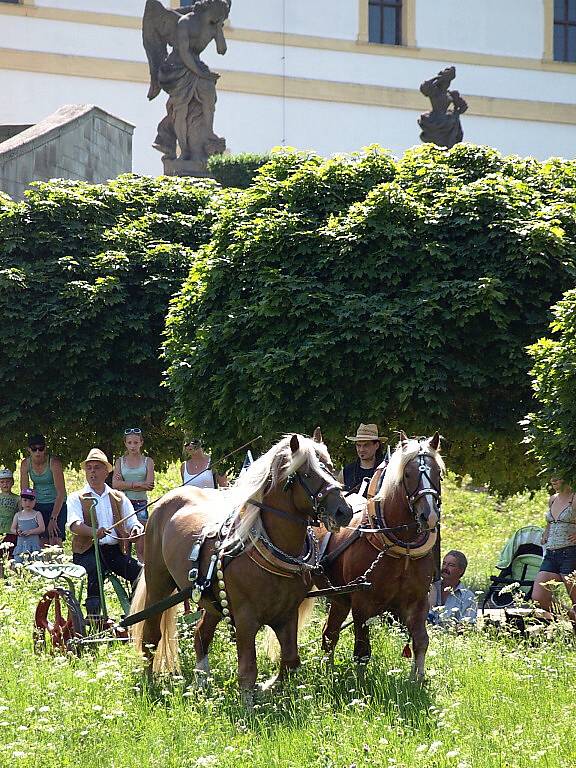 Slavnosti koní, řemesel a historie v Kuksu 2013