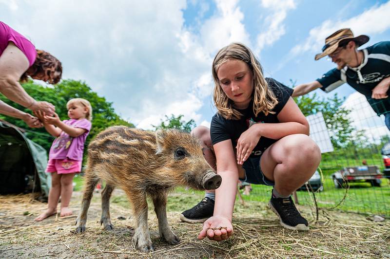 Ekocentrum Dotkni se křídel navštívily rodiny s dětmi při 1. narozeninách kolouška Bambiho.