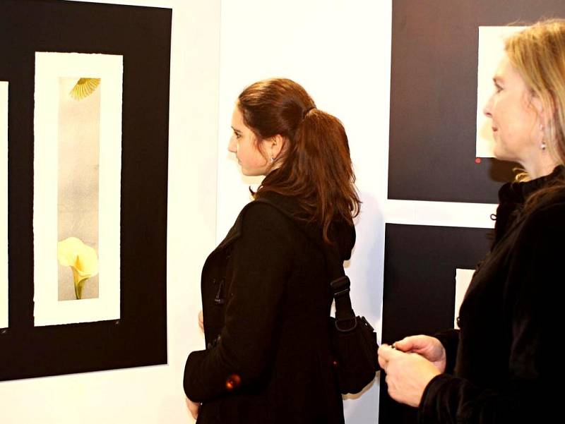 V Galerie La Femme je tvorba dvou umělců
