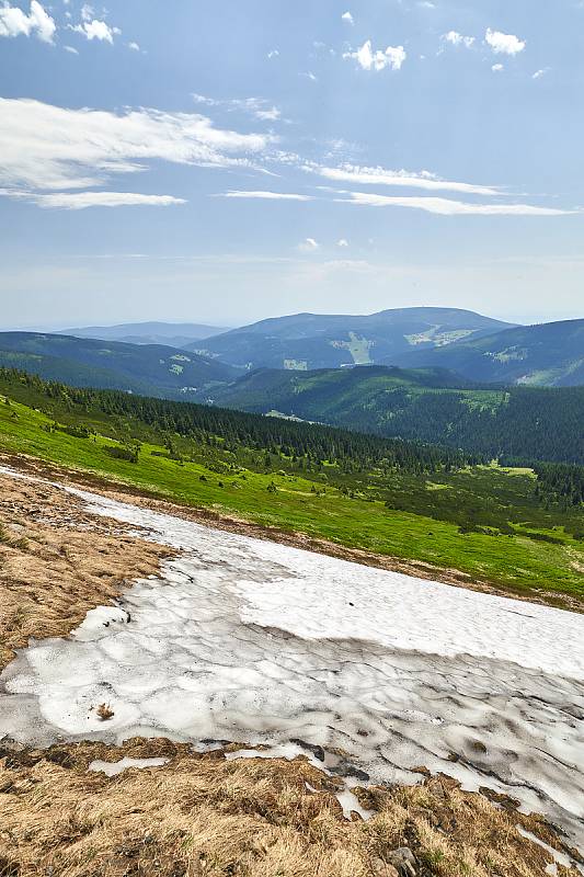 Krkonošská příroda, nafocená 1. července 2019.