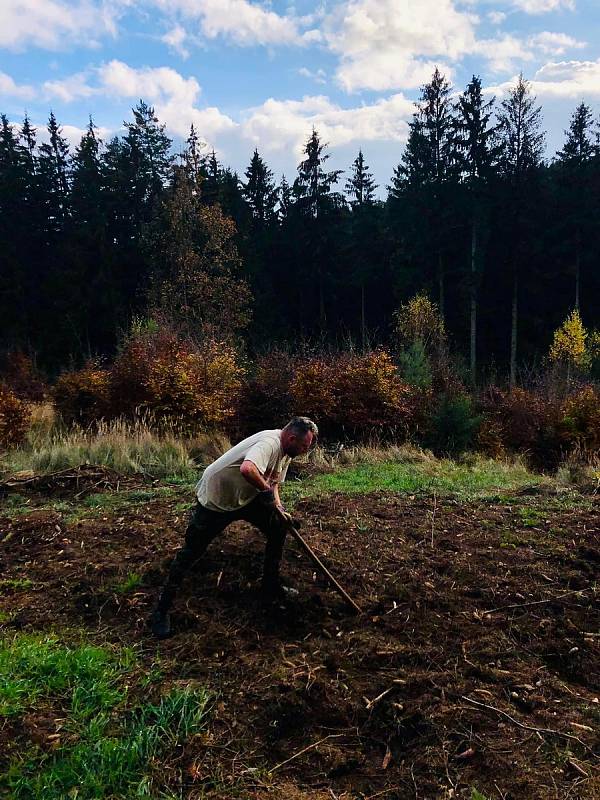 Dobrovolníci zasadili sazenice dubů v lokalitě Houska při akci 1000 stromů pro Trutnov.