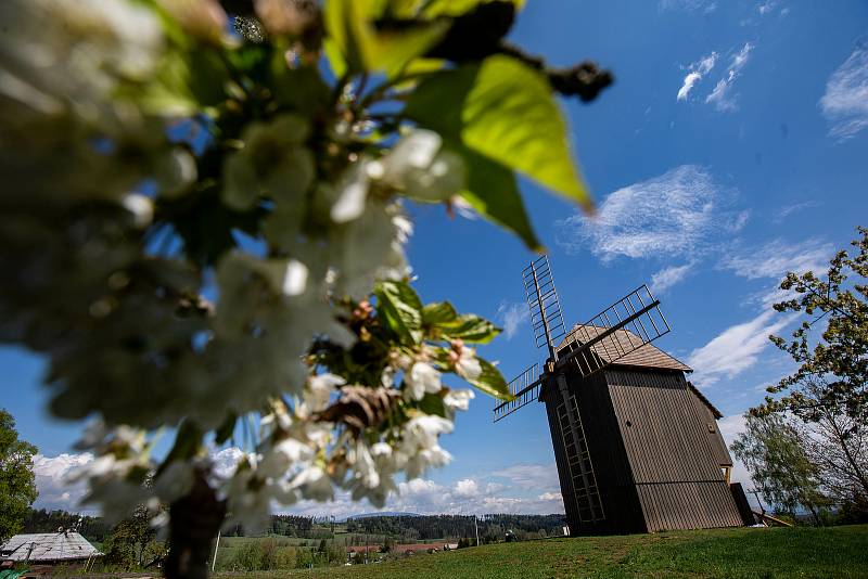 Stavba funkční repliky větrného mlýna v Borovnici na Trutnovsku je ve finiši. Otevřený má být do konce června.